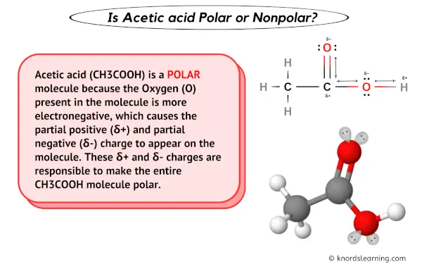 Is Acetic acid polar or nonpolar