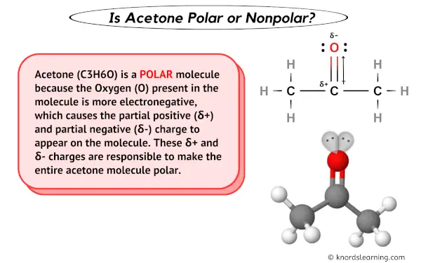 Is Acetone Polar or Nonpolar