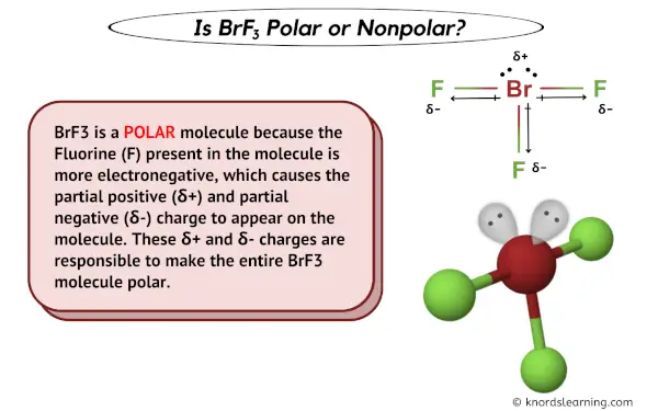 Is BrF3 Polar or Nonpolar