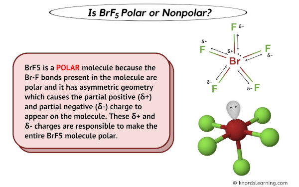 Is BrF5 Polar or Nonpolar