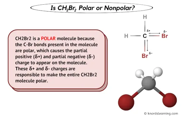 Is CH2Br2 Polar or Nonpolar