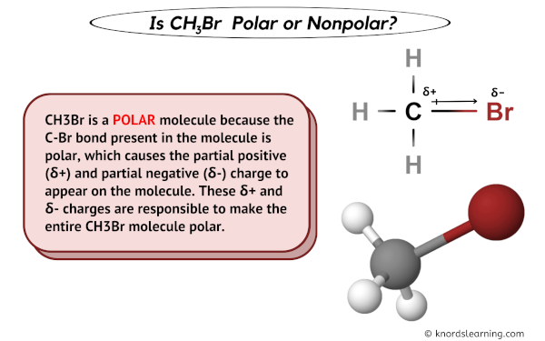 Is CH3Br Polar or Nonpolar