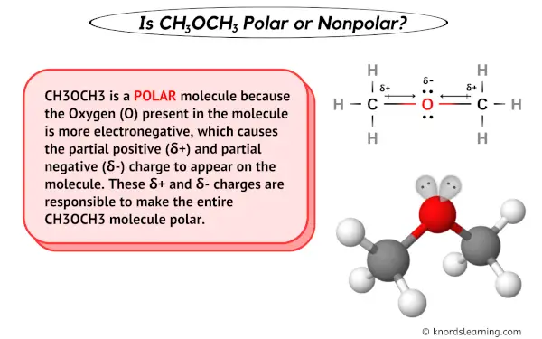 Is CH3OCH3 Polar or Nonpolar
