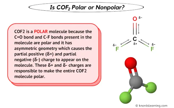 Is COF2 Polar or Nonpolar