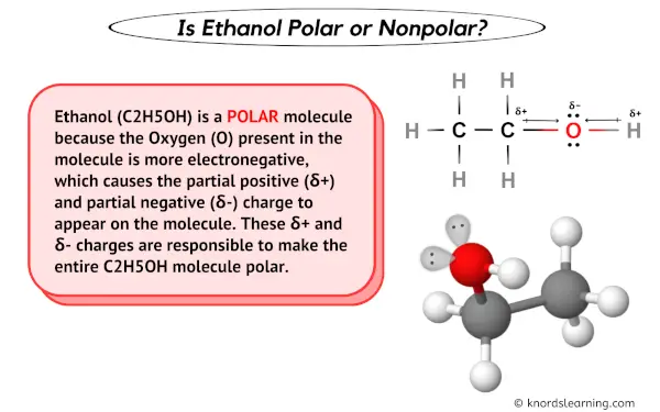 Is Ethanol polar or nonpolar