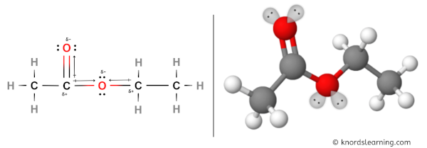 Is Ethyl acetate polar or nonpolar
