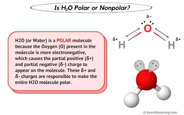Is H2O (Water) Polar or Nonpolar