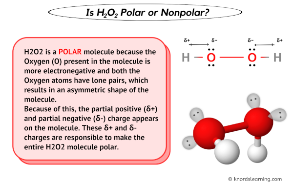 Is H2O2 Polar or Nonpolar