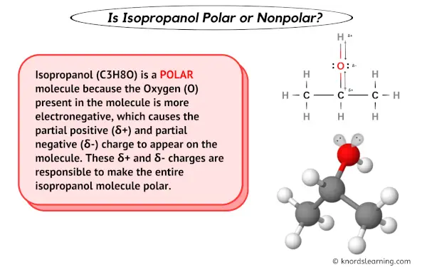Is Isopropanol polar or nonpolar