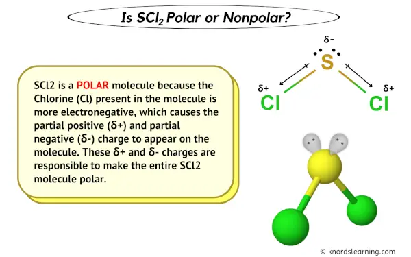 Is SCl2 Polar or Nonpolar