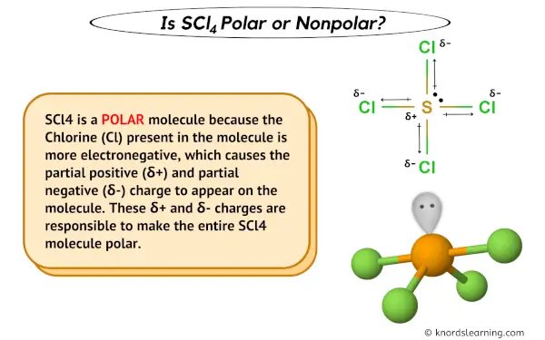 Is SCl4 Polar or Nonpolar