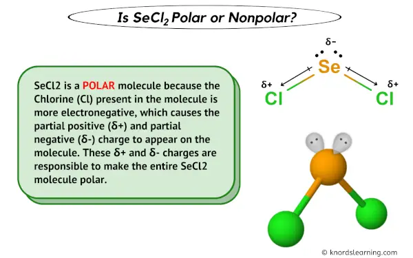 Is SeCl2 Polar or Nonpolar