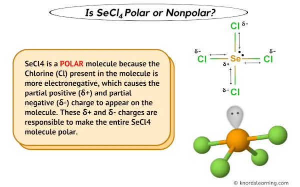 Is SeCl4 Polar or Nonpolar