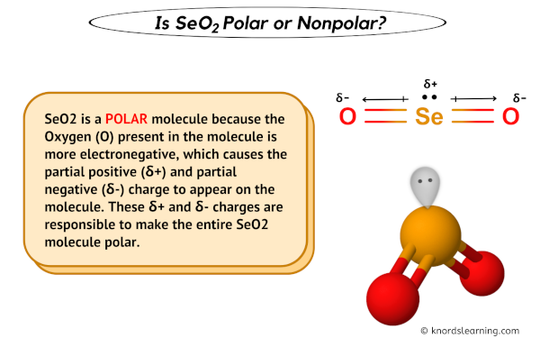 Is SeO2 Polar or Nonpolar
