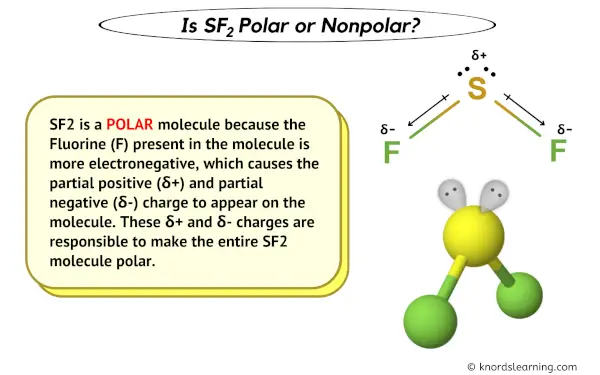 Is SF2 Polar or Nonpolar