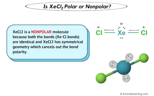 Is XeCl2 Polar or Nonpolar