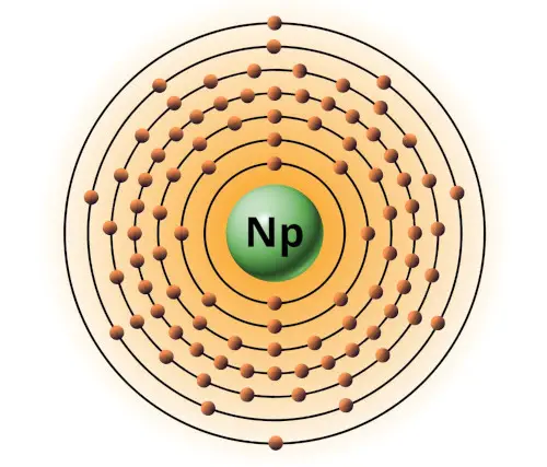 bohr model of neptunium