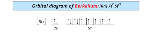 orbital diagram of berkelium