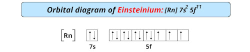 orbital diagram of einsteinium