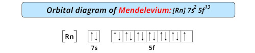 orbital diagram of mendelevium