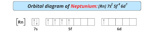 orbital diagram of neptunium