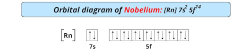 orbital diagram of nobelium