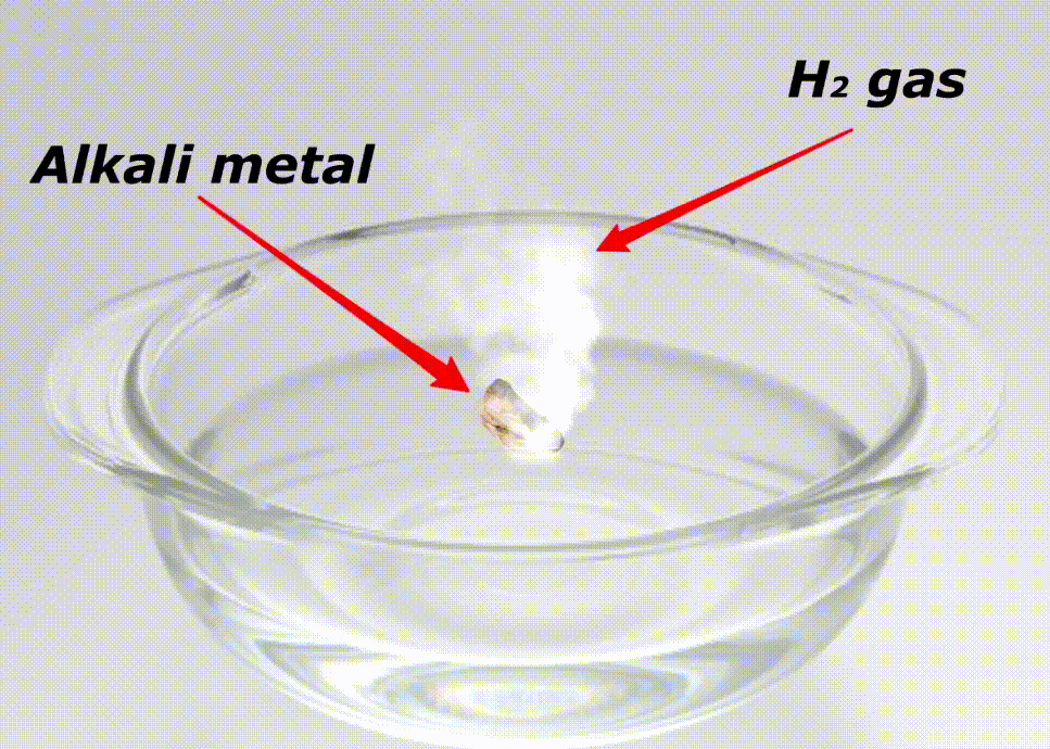 Reactivity of alkali metals with water